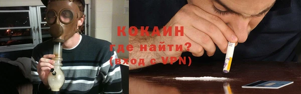 стаф Арсеньев